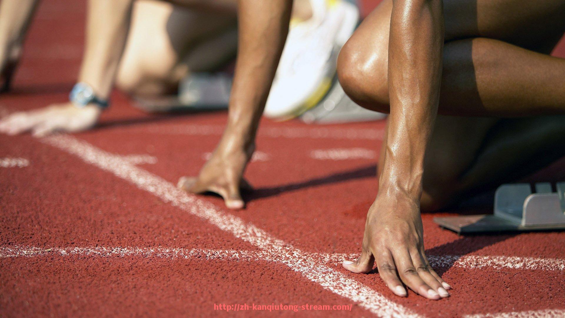 看球通-最新CBA球队名单一览(2025赛季)